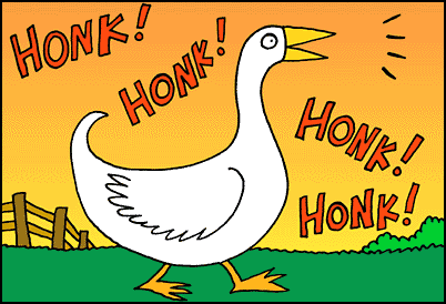 Image result for honk goose gif